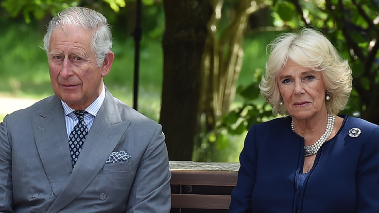 Charles and Camilla looking serious