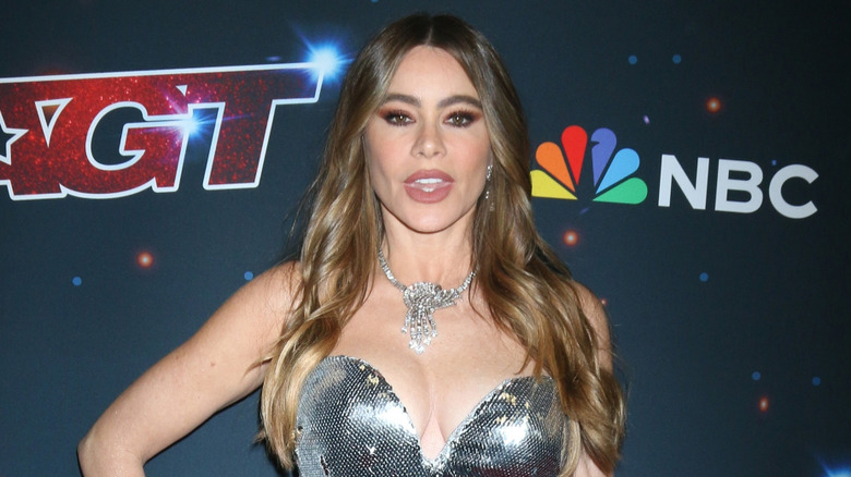 Sofia Vergara on the red carpet