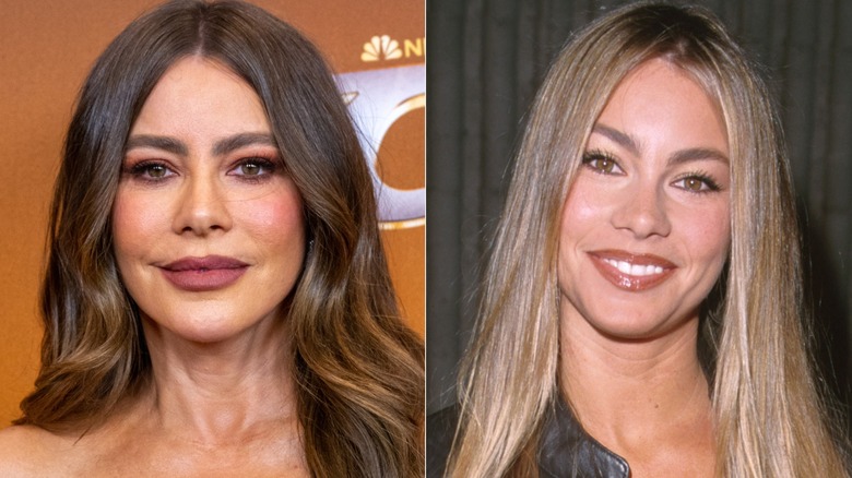 Photos of Sofia Vergara with brown hair and blond hair
