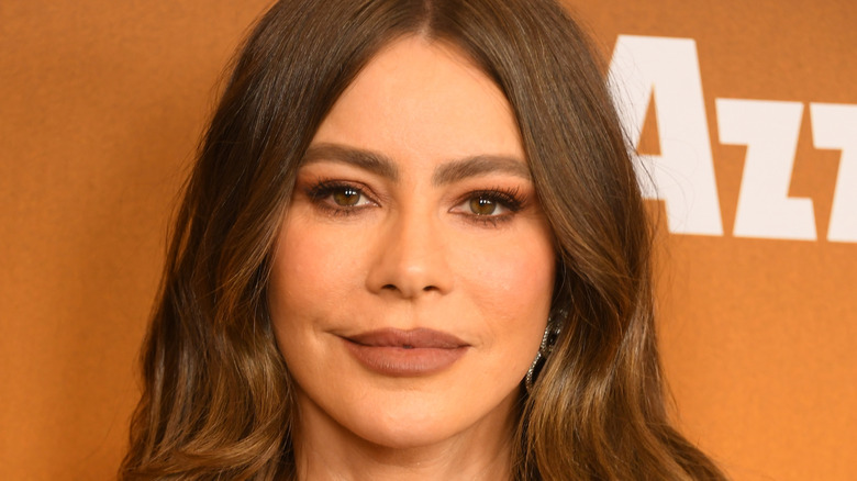 Closeup of Sofia Vergara posing in 2025