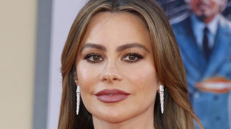 Sofia Vergara smiling on red carpet