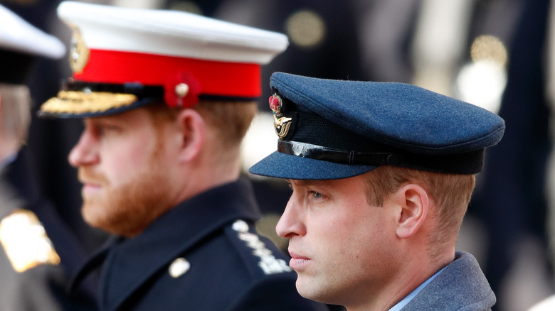 Prince William & Prince Harry standing