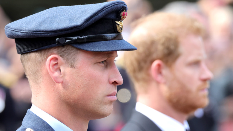 Harry and William together