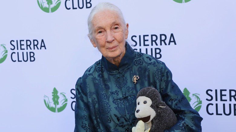 Jane Goodall posing for photos with a toy monkey