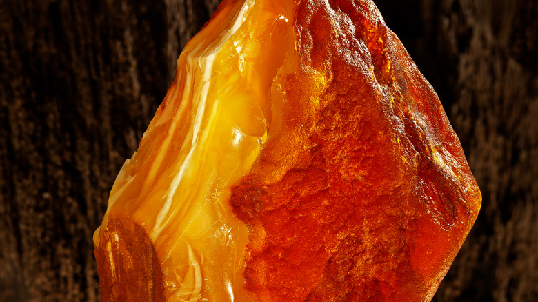 Large piece of Amber 