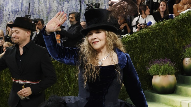 Stevie Nicks posing