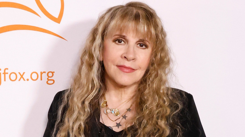 Stevie Nicks posing