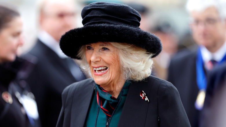 Strange Facts About Camilla Parker Bowles