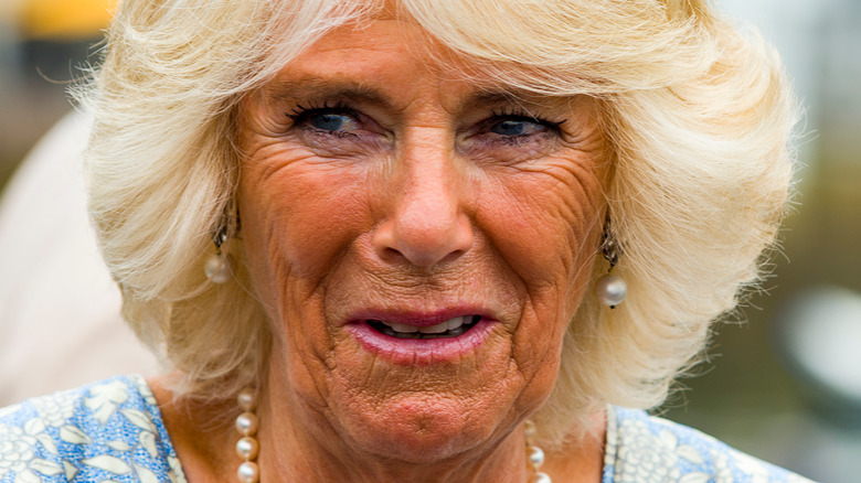 Watch Camilla Parker Bowles Prove She's THE Queen of the Dance Floor