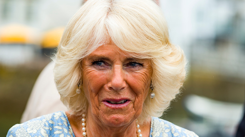 Camilla Parker Bowles smiling 