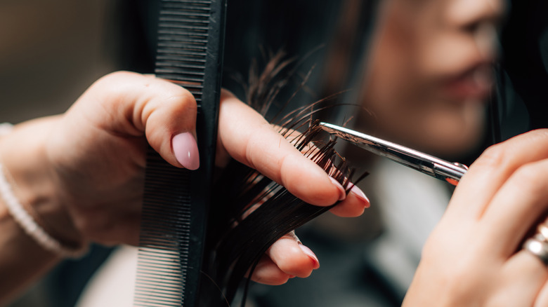 Stylist cutting woman's brunette hair