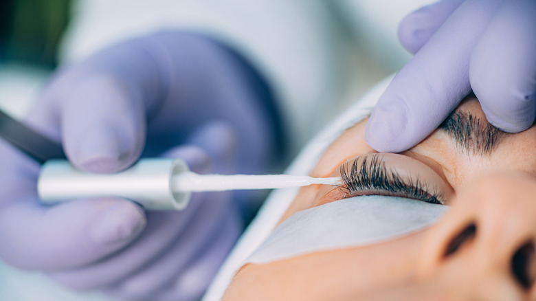 Professional applying a lash lift