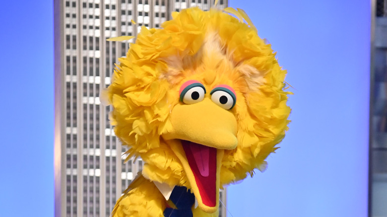 Big Bird at the Empire State Building