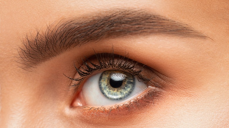 closeup of woman's eyebrow