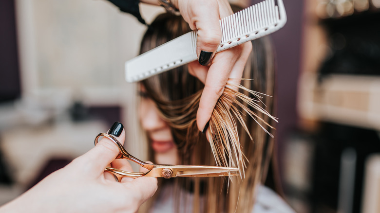 woman haircut salon styling