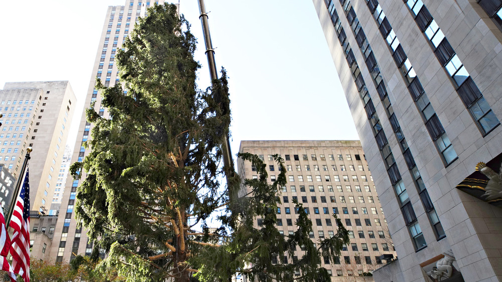 The 2020 Rockefeller Center Christmas tree is put in place