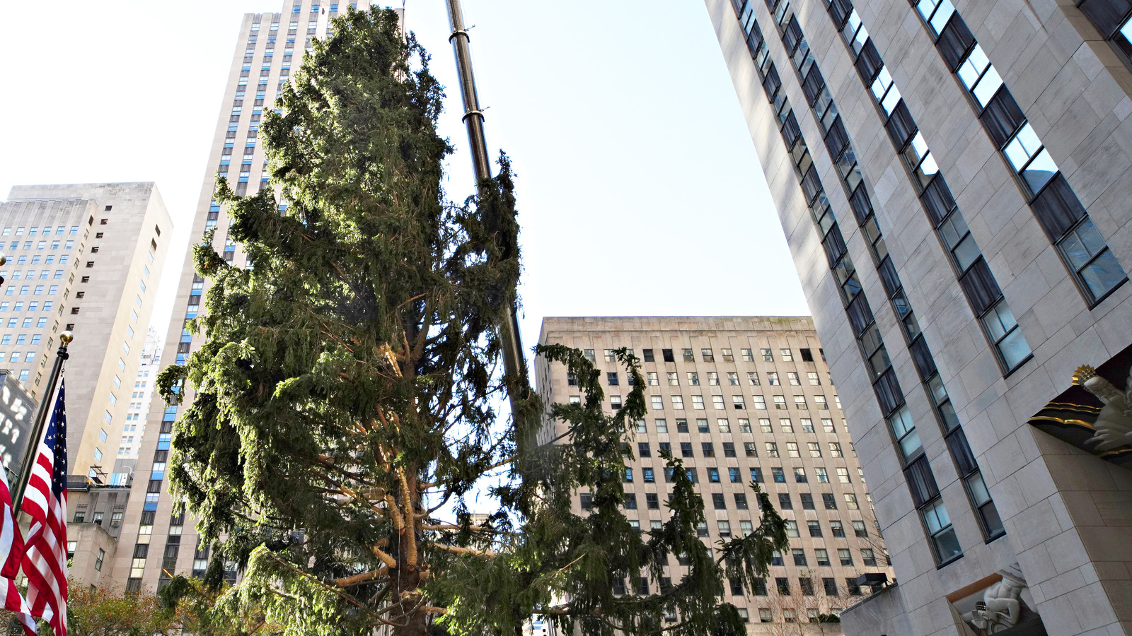 The 2020 Rockefeller Center Christmas Tree Is Getting A Surprising Reaction