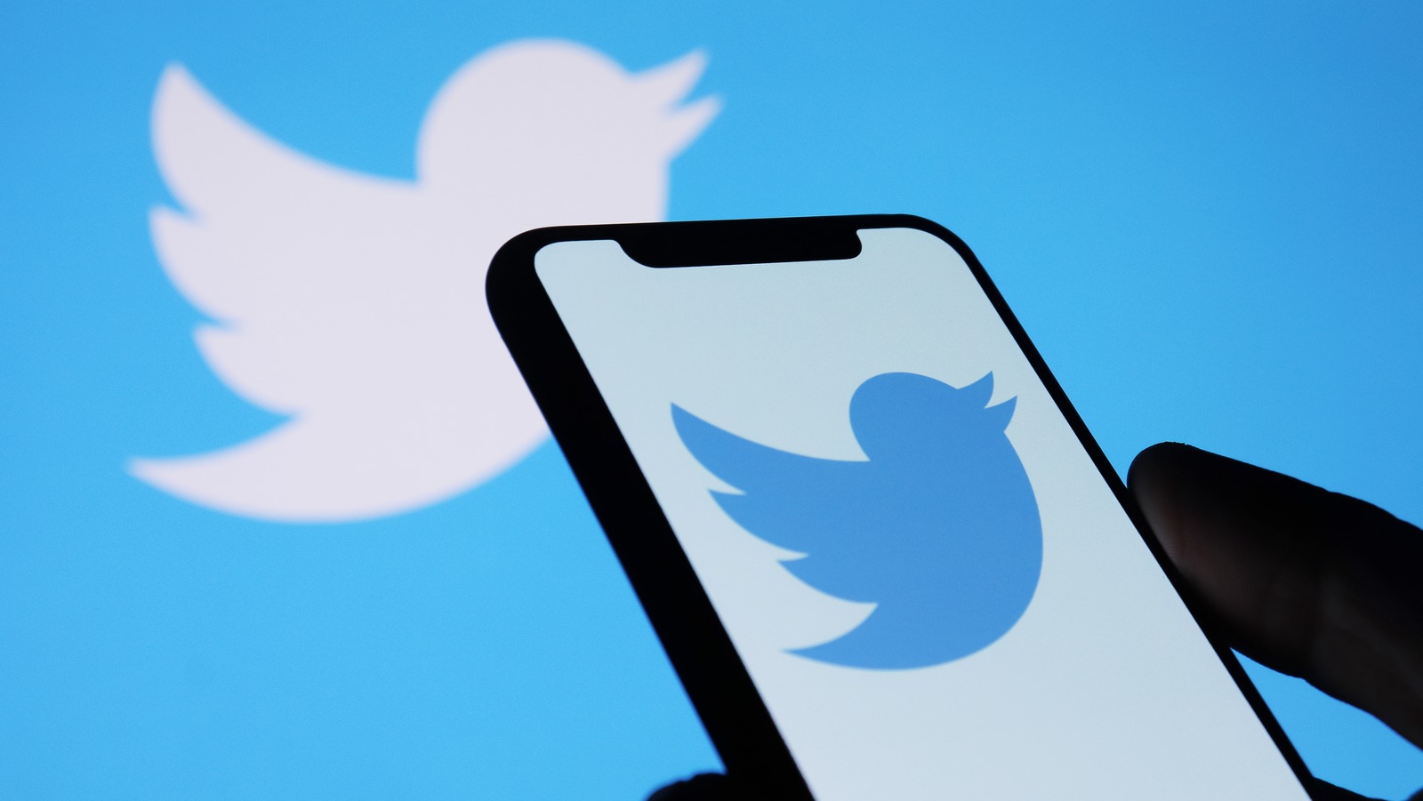The five Celebrities Who Are The Most Literate On Twitter | l intro 1651883907 The five Celebrities Who Are The Most Literate On Twitter | l intro 1651883907
