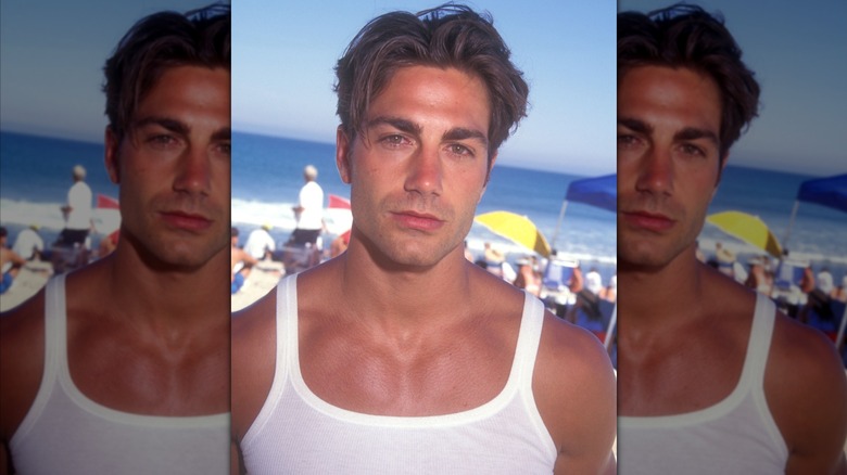 Michel Bergin in the 1990s