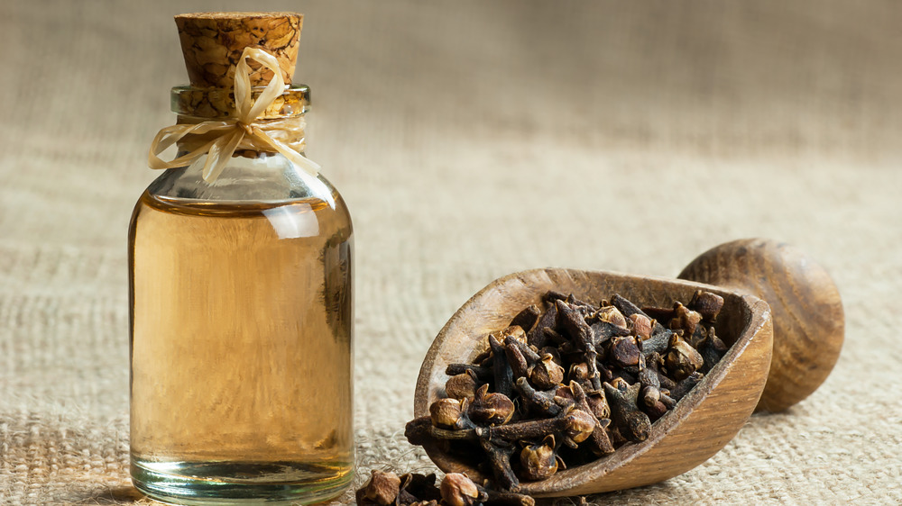 Bottled clove oil with cloves