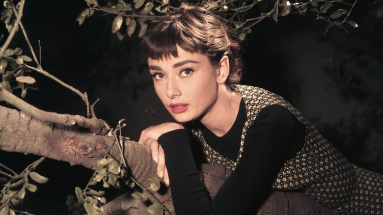 Audrey Hepburn leans against a tree for a photo circa the '50s