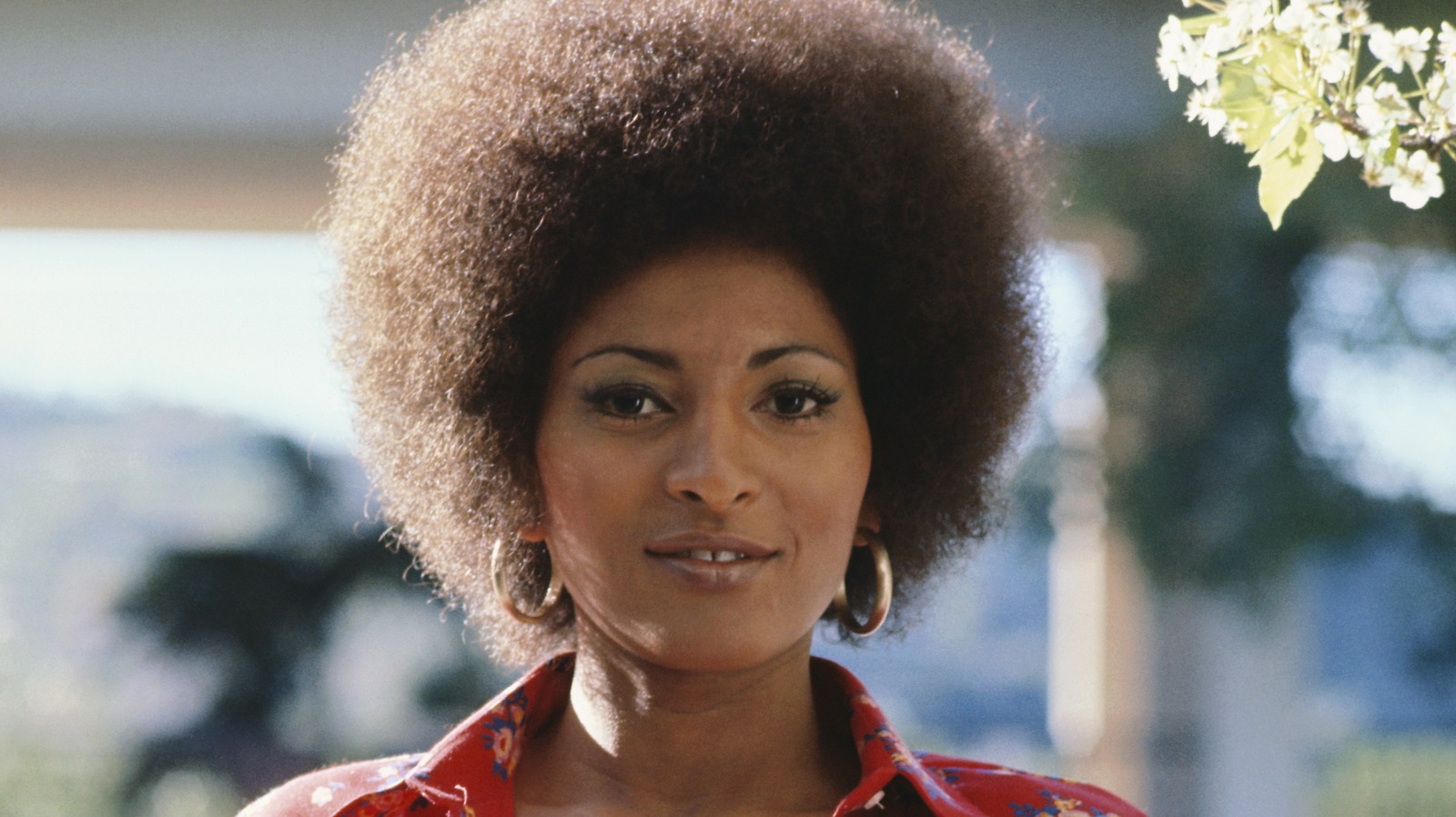 4 Iconic 70s Black Hairstyles  Everything Hairr