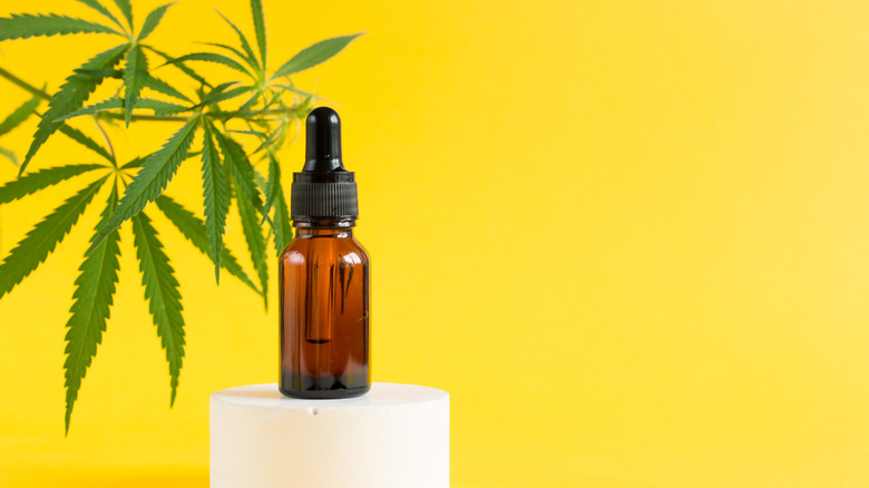 CBD oil against yellow background with Marijuana plant