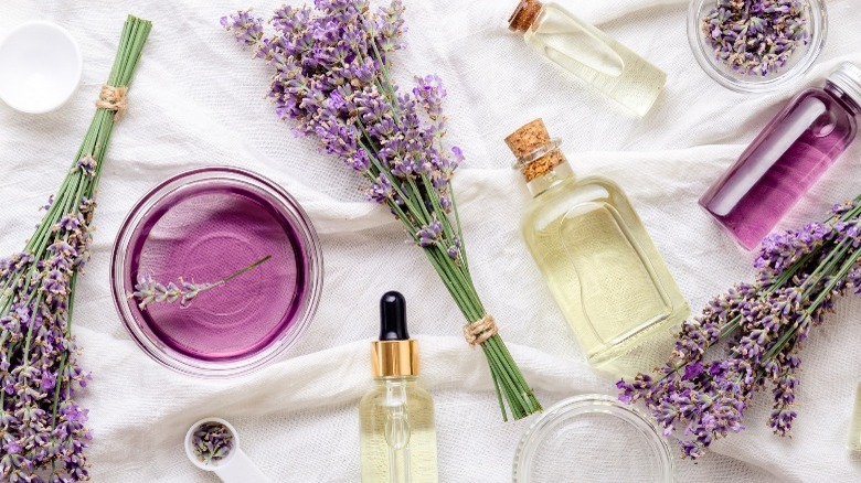 lavender and essential oils