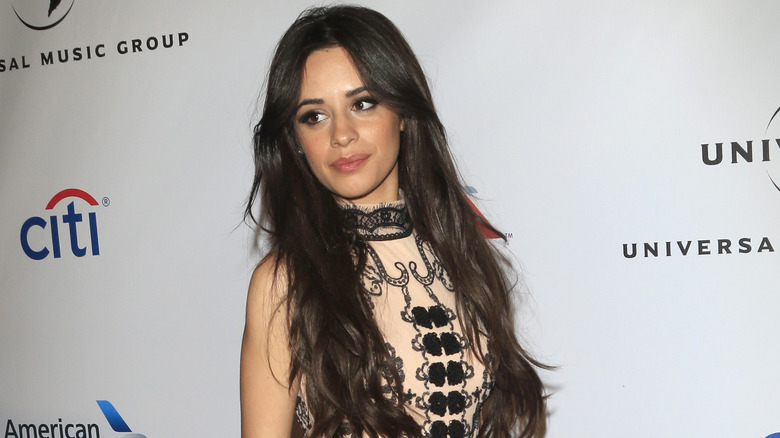 Camila Cabello long hair
