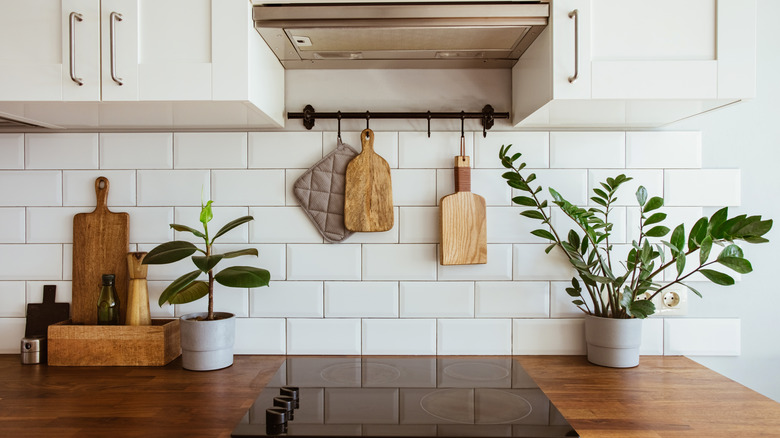 A kitchen with plants