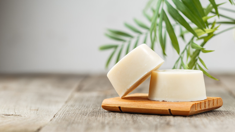 Shampoo bars on a wooden slab with leaf background