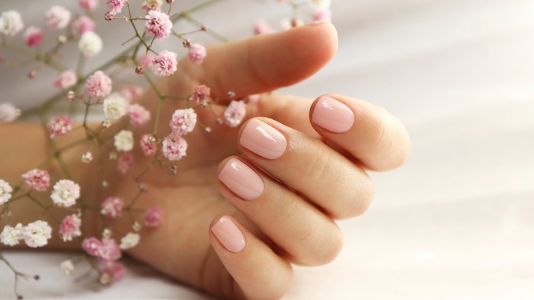 Short pink nails next to pink and white flowers