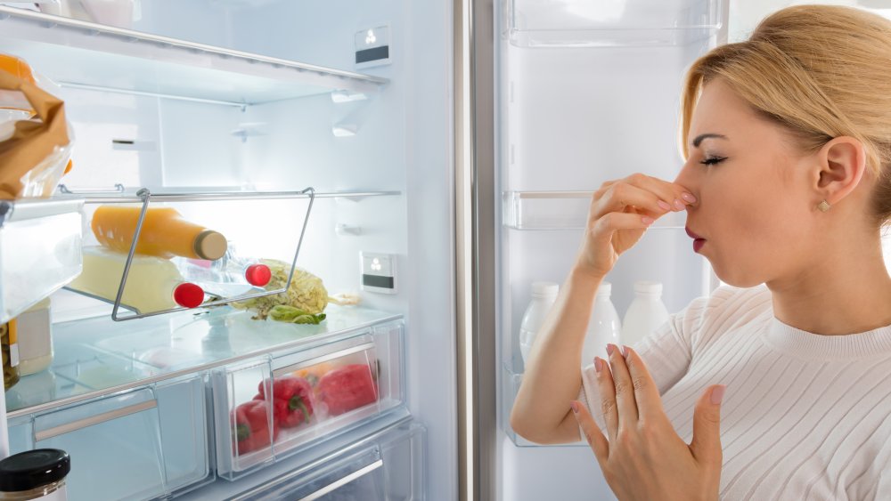 Woman in front of smelly fridge