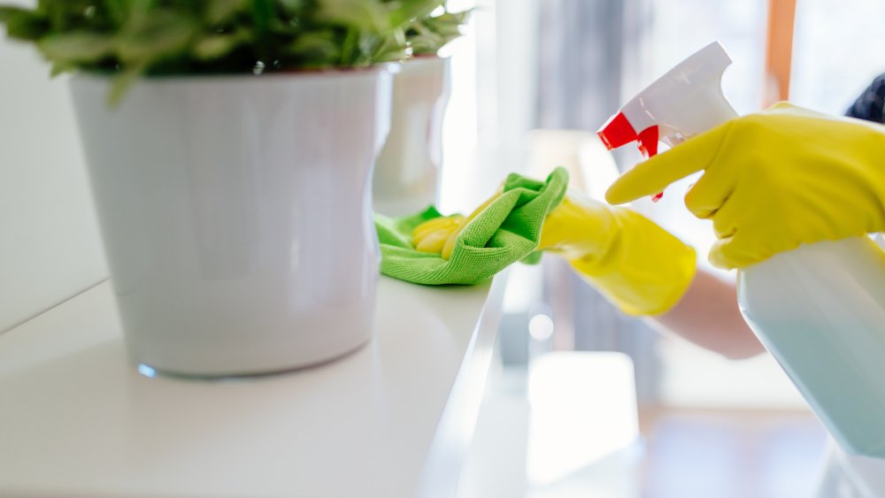 Woman cleaning a surrface