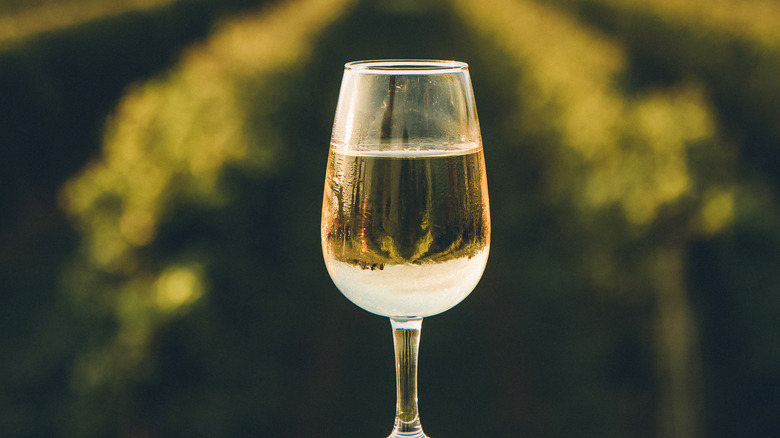 A glass of white wine in front of a vineyard