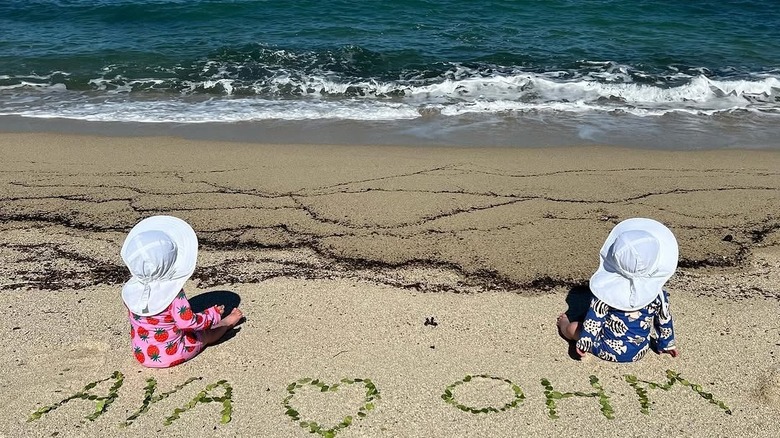 A photo of Hilary Swank's children (from behind) as they look out at the ocean.