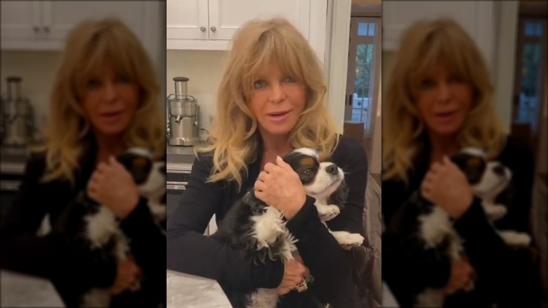 Goldie Hawn in a kitchen, holding a dog