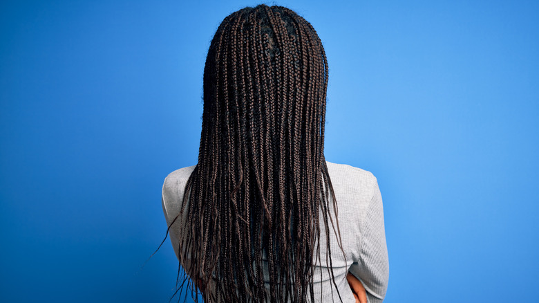 Woman's knotless braids from behind