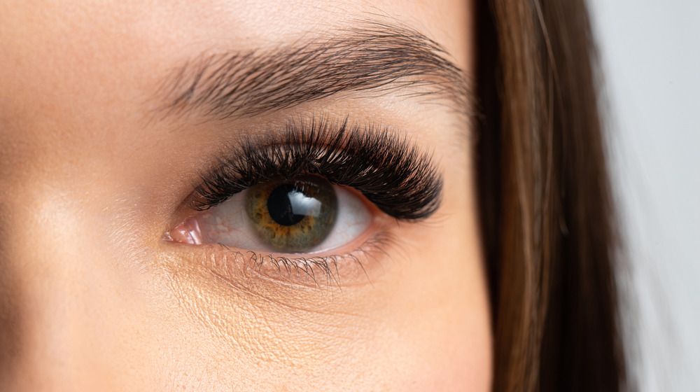 False eyelashes close-up