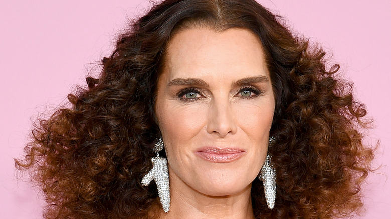 brooke shields makeup