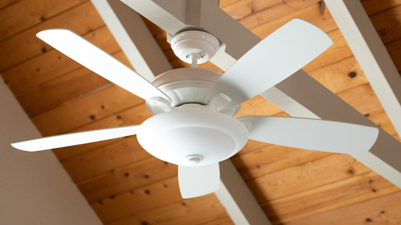 A white ceiling fan 