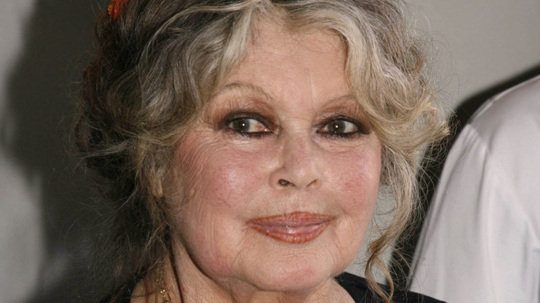 Brigitte BArdot at anniversary event for the Brigitte Bardot Foundation in 2006