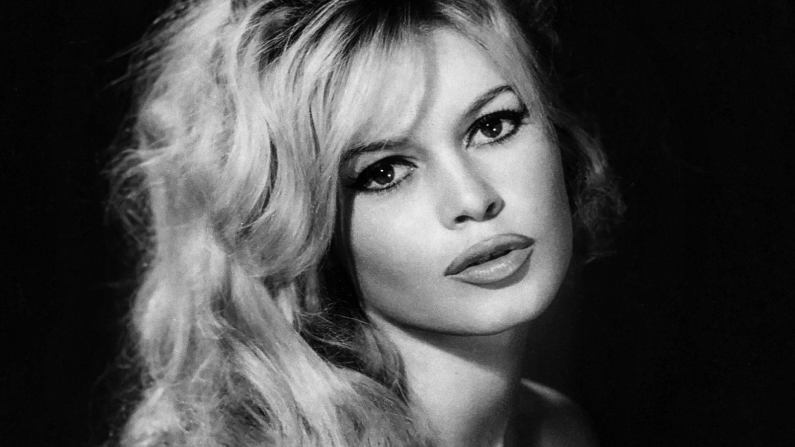 The Complete Transformation Of Brigitte Bardot