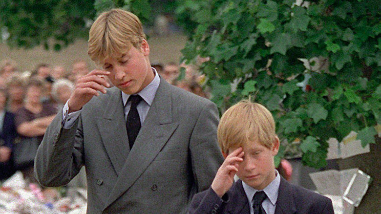 Princes William and Harry in 1997
