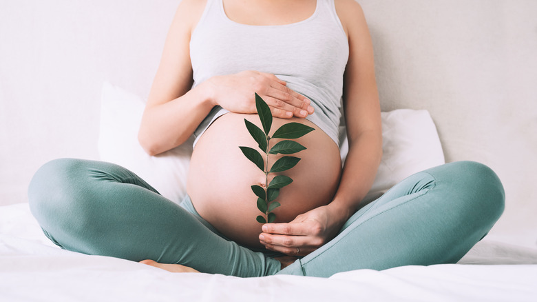 Pregnant woman holding plant