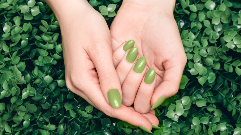 hands showing fresh manicure 