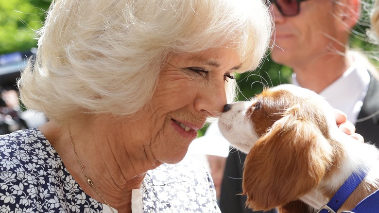 Camilla Parker Bowles with a puppy 