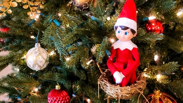 Elf on the shelf in a tree