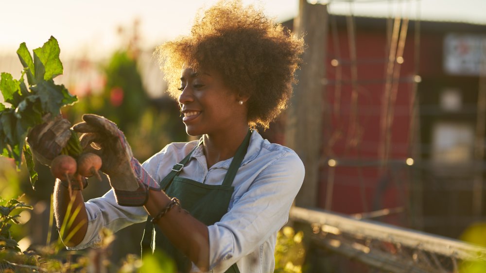 woman gardening