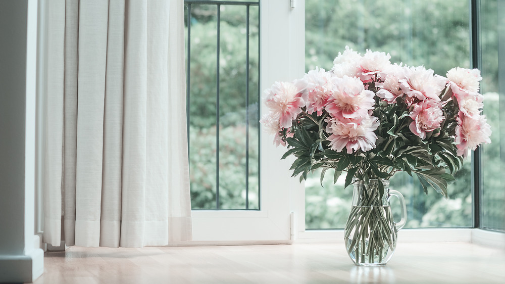 Peonies in a vase